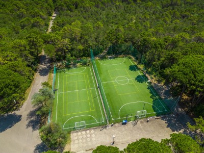 Soccer Fields